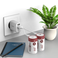 شاحن سريع 2 في 1 بمنفذ USB-C وبطارية ليثيوم 6000 مللي أمبير في الساعة، بطاريتان ليثيوم أيون 1.5 فولت عالية الجهد