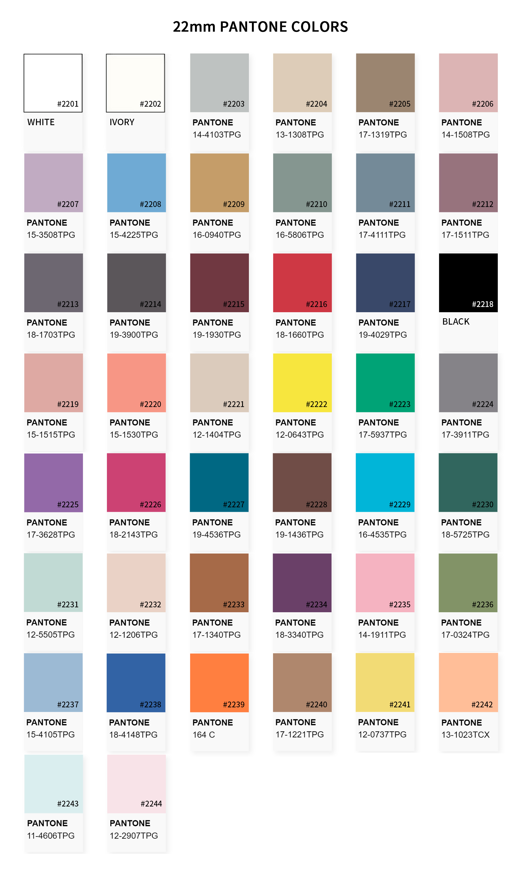 Color Card