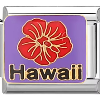 1389-Hawaï