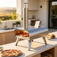 Four à pizza portable multifonction moderne pour le camping, design compact, grill à pizza d'extérieur