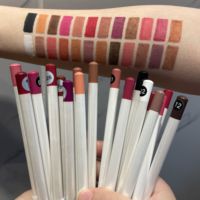 Crayon Contour des Lèvres Mat Naturel Waterproof à Pigmentation Élevée, Marque Privée, Vente Chaude