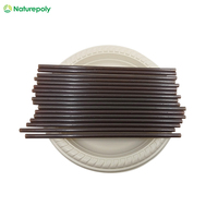 Paille à boire biodégradable et compostable de qualité alimentaire, en bagasse de café et en grains de café, en promotion