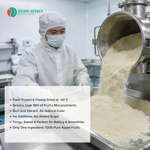 Best Price Natural <strong>Apple</strong> Fruit Powder <strong>Apple</strong> Juice Powder Organic <strong>Apple</strong> Powder OEM ODM - Product Image 3