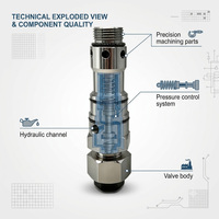 Soupape de décharge principale 121-1492 309-5867 392-0212 pour excavatrices E320B E320D 320C 320E, pièces détachées de marque Ruimaike, garantie 1 an