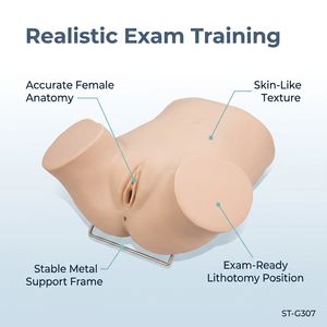 Modelo de Entrenamiento para Examen de Secreción Ginecológica, Modelo de PVC para Entrenamiento de Médicos de Obstetricia y Ginecología, <span class=keywords><strong>Ciencias</strong></span> Médicas - Product Image 2