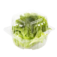 Vente en gros Récipient alimentaire jetable en plastique PET avec sable Boîte d'emballage pour fruits et légumes Plateau blister à clapet