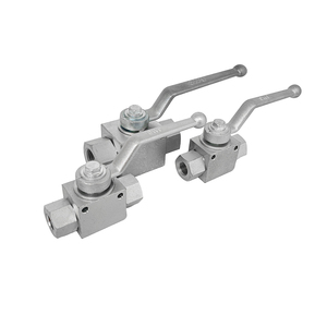 Pièces de rechange pour vanne à bille NPT, mâle/femelle, huile/gaz, haute pression, hydraulique - Product Image 6
