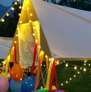 Grandview Đèn Dây LED Đám Cưới Giáng Sinh IP44 110V IP65 <span class=keywords><strong>220</strong></span> Volt - Product Image 2