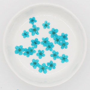 Fleur pressée naturelle Spiraea Veitchii Meadow Sweet Nail Crafts, faite à la main, écologique, dans un cadre - Product Image 2