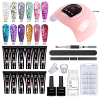 Kit Acrylgel Poly Néon pour Ongles 15 ML, Vernis Gel Acrylique d'Extension Nude, 12 Couleurs avec Solution de Glissement, Kit de Démarrage avec Lampe UV