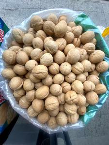 جودة جيدة سعر منخفض الجوز و 33 جوز طازج مستوى تصدير الأغذية العضوية - Product Image 4