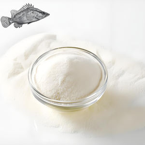 Großhandel Kollagenpeptide Fabrik Hydrolysierte Marine-Kollagenpeptide Über 95% Protein-Kollagenpeptide - Product Image 1