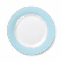 GXKC Assiettes de Luxe en Porcelaine Écologique de 10,5 Pouces au Design Contemporain pour Hôtels et Restaurants – Couleurs Unies