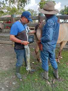 SUN-808F nóng bán giá rẻ giá siêu âm cầm tay thiết bị đầy đủ kỹ thuật số xách tay siêu âm thú y máy cho động vật - Product Image 6