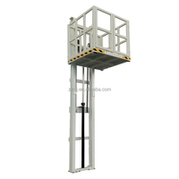 Ascenseur mural électrique à un seul rail de guidage Plate-forme élévatrice hydraulique Nouvelle construction pour hôtels et restaurants