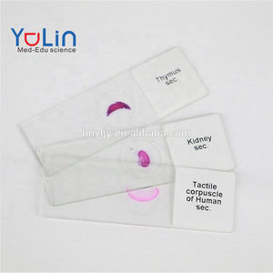 Микроскоп, изготовленный на заводе - Product Image 2