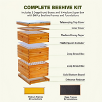 Promotion : Ruche Langstroth complète en bois, 10 cadres, 2/3 couches, avec revêtement en cire
