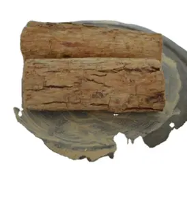 新的整段Thanakha茎生干Thanakha木茎切割 - Product Image 1