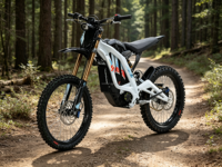 Nouvelle moto tout-terrain électrique Surron Light Bee 10kW 72V 2026