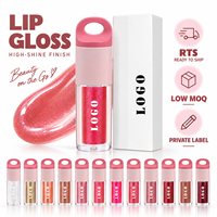 Gloss à lèvres repulpant effet miroir 3,5 ml, haute brillance, hydratant, 49 teintes, faible MOQ 1 pièce, vente en gros, logo personnalisé