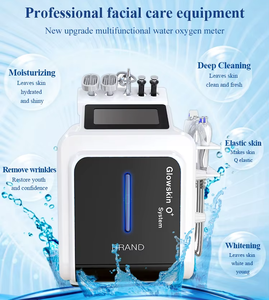 Appareil de nettoyage facial non invasif Hydra 10 en 1 pour usage domestique et commercial, minimiseur de pores indolore, appareil de rajeunissement de la peau - Product Image 4
