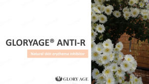 สารสกัดจากดอกคาเมลเลียและสารสกัดจากดอกคาเมลเลียสำหรับเครื่องสำอางและการดูแลส่วนบุคคล - Product Image 6