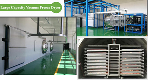 เครื่องอบแห้งแบบแช่เยือกแข็งสำหรับอาหาร LGJ-50FY LGJ-200FY รุ่นใหม่ 220V พร้อมมอเตอร์ปั๊มสำหรับห้องปฏิบัติการ - Product Image 4