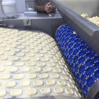Hoge Efficiëntie Biscuit Productielijn, Biscuit- en Zoutbiscuitmachine, Productiemachine, Cracker- en Biscuitmachine