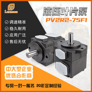 ปั๊มใบพัดไฮดรอลิก YUKEN PV2R1 สำหรับเครื่องฉีดพลาสติก ปั๊มเพิ่มแรงดันแบบยึดหน้าแปลน ขับเคลื่อนด้วยไฟฟ้า - Product Image 4