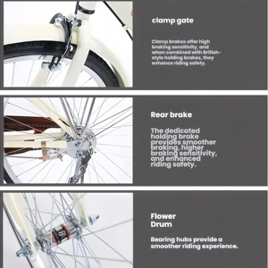 Vélo de ville pour <span class=keywords><strong>femme</strong></span> en acier à haute teneur en carbone, vintage, 24/26 pouces, pneus durables, vitesse unique, frein à étrier latéral, vélo classique pour <span class=keywords><strong>femme</strong></span> - Product Image 5