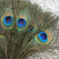 Hot Selling Factory liefert 120-130cm Big Eye Long Peacock Tail Federn zum Verkauf Günstige