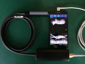 Prueba de embarazo de vaca USB portátil Ultrasonido veterinario Rectal Lineal <span class=keywords><strong>Precio</strong></span> de ultrasonido - Product Image 6