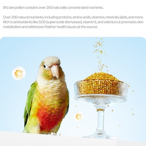 Yee <span class=keywords><strong>abeja</strong></span> polen loro hermosa pluma comida especial piel de tigre pequeño Sunbird comida nutritiva píldora alimentación pájaro comida - Product Image 4
