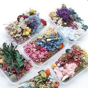 Flores Secas de <span class=keywords><strong>Canela</strong></span> para Aromaterapia, Adornos de Madera Hechos a Mano para Decoración de Interiores y Manualidades, Suministros para Regalos - Product Image 2