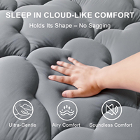 Surmatelas ultra doux Queen Size avec surmatelas intégré, épais et rembourré, protège-matelas respirant à poches profondes 8-21