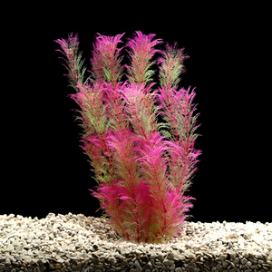 Vente en gros de fleurs artificielles pour <span class=keywords><strong>aquarium</strong></span>, accessoires de décoration en résine pour <span class=keywords><strong>aquarium</strong></span> - Product Image 1