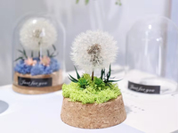 Pissenlit éternel sous cloche en verre avec éclairage LED, fleur préservée et moelleuse, étiquette personnalisée, cadeau pour la remise des diplômes, la fête des mères, Noël, décoration intérieure