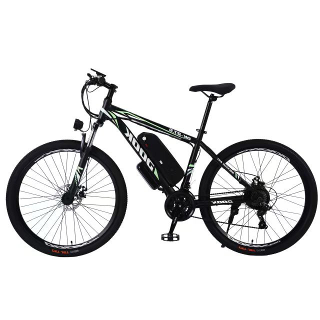 2025 Hot Sale 750w High Power Electric Bike/Popular E Electrico Bicycle for Men/Good Quality E Mountain Bike