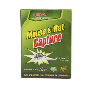 China Custom Fashion Pest Control Rat Mouse Glue Board Green Sticky Glue Traps