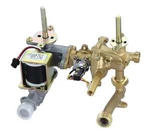 Wholesale Price CKD/SKD Tankless Instant Gas Water Heater Spare Parts Solenoid Brass Valve