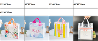 Sac de shopping personnalisé givré avec poignée, biodégradable, écologique, réutilisable, à soufflets latéraux, en plastique, pour la vente au détail, en gros