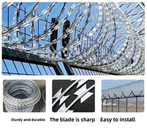 Alambre de púas de alta resistencia antiescalada <span class=keywords><strong>para</strong></span> cercas de seguridad agrícola, alambre de púas galvanizado BTO-10 BTO-22 CBT-65 - Product Image 3