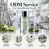 Diffuseur de parfum personnalisé avec logo, marque privée, arôme pour salon, chambre, bureau, fabricant