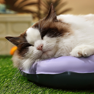 เตียงน้ำแข็งสำหรับสัตว์เลี้ยงสีม่วงที่นอนนุ่มให้ความเย็นระบายอากาศได้ดีสำหรับแมวสุนัขแมวฤดูร้อน - Product Image 3
