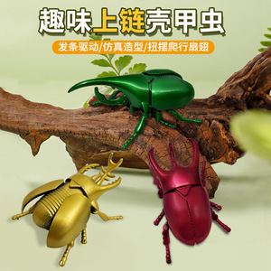 Jouet à remonter en forme de scarabée rhinocéros, modèle mécanique de 6,2 cm, jouet pour enfants unisexe, âge 5-7 ans, en ABS - Product Image 3