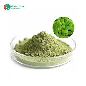 Herbspirit Duckweed Poudre 10:1 20:1 Duckweed Poudre d'extrait de protéine Duckweed Poudre de protéine - Product Image 1