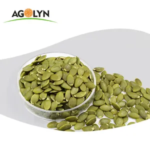 Green Raw peeled Pumpkin Seeds kernel