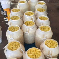 Gingembre surgelé IQF : conserve l'arôme épicé naturel et les nutriments du gingembre, approvisionnement direct usine avec qualité stable/prix compétitifs
