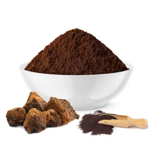 Hersteller besten Champignon Chaga Pulver Chaga Extrakt medizinischen Pilz Lieferanten Chaga Stücke