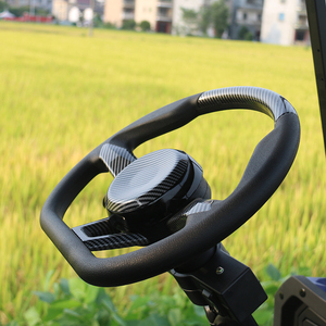 Carrito de golf de turismo eléctrico antiguo de 48V de alta calidad, carrito de utilidad superior, fabricación al por mayor - Product Image 5